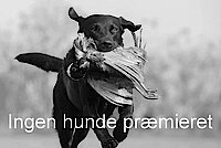 Vinder(e)