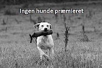 Vinder(e)
