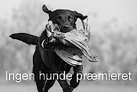 Vinder(e)